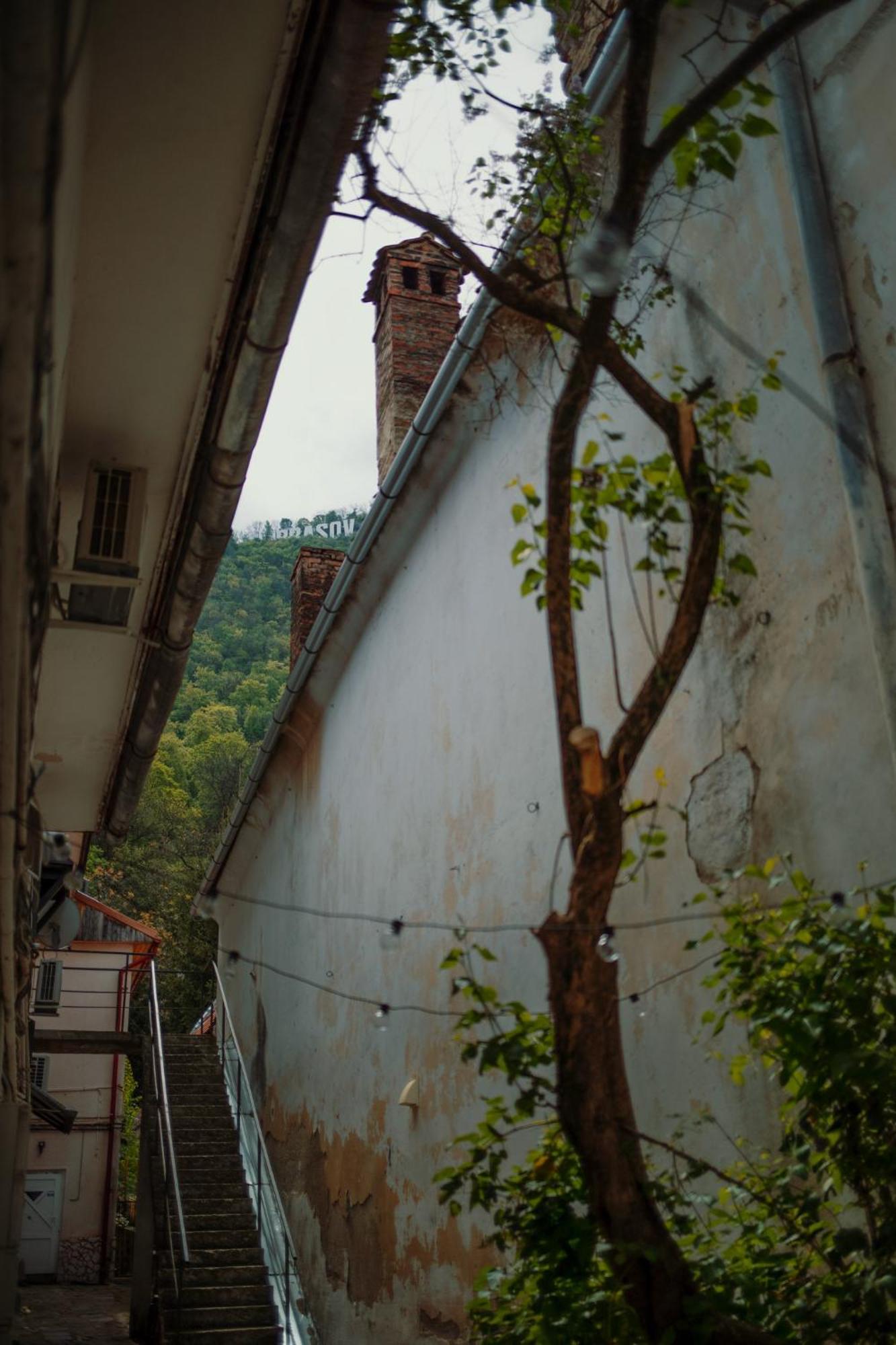 3 Min To Everything-Stylish-Modern-Old Fortress براشوف المظهر الخارجي الصورة